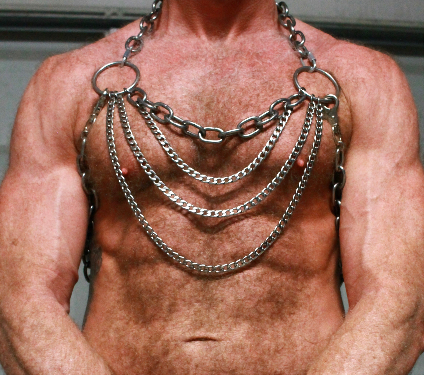 CIRCUIT HARNESS