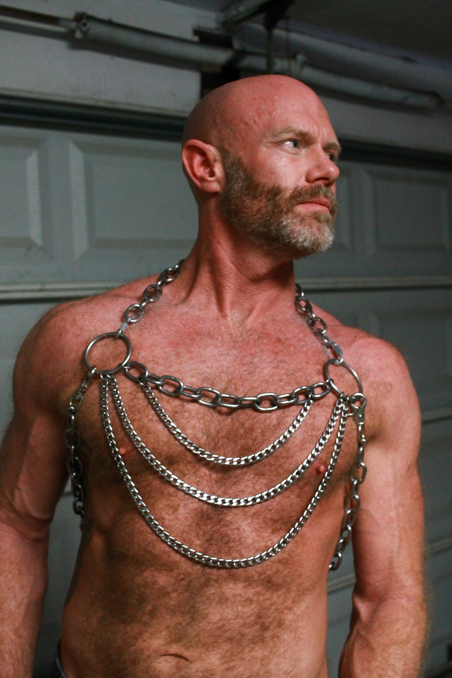 CIRCUIT HARNESS