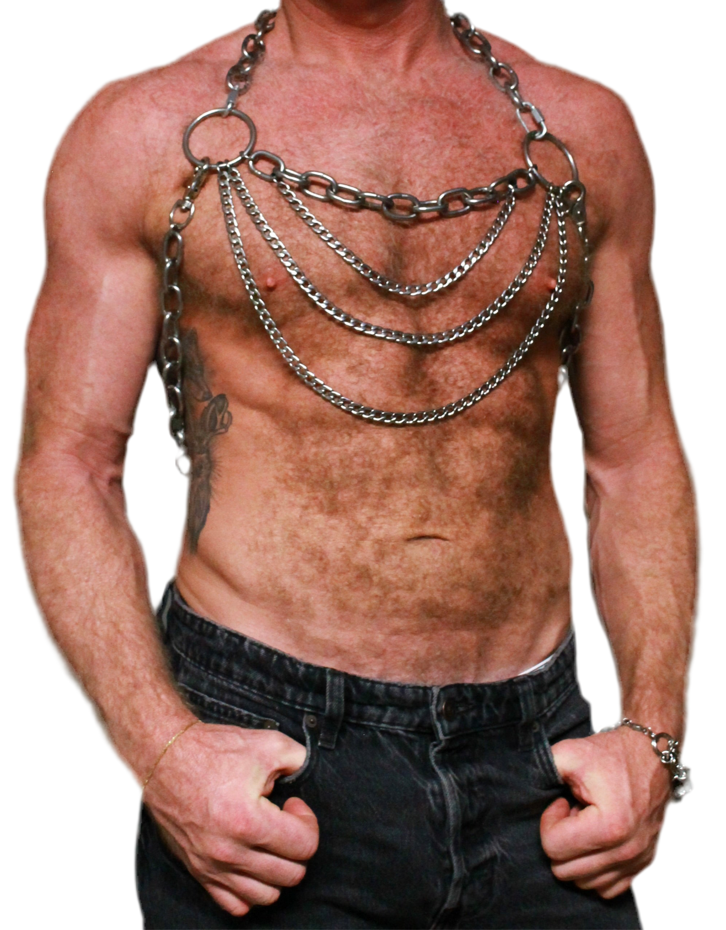 CIRCUIT HARNESS