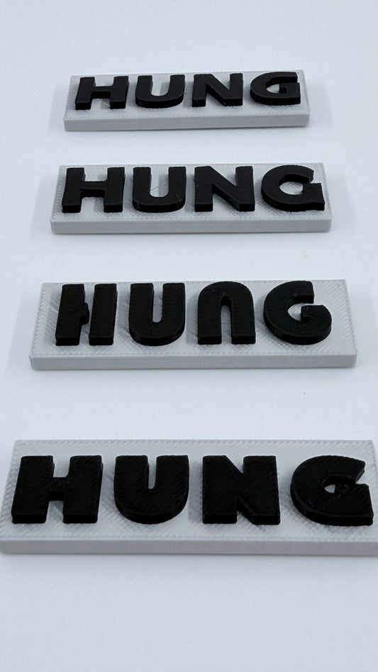 HUNG MAGNETS